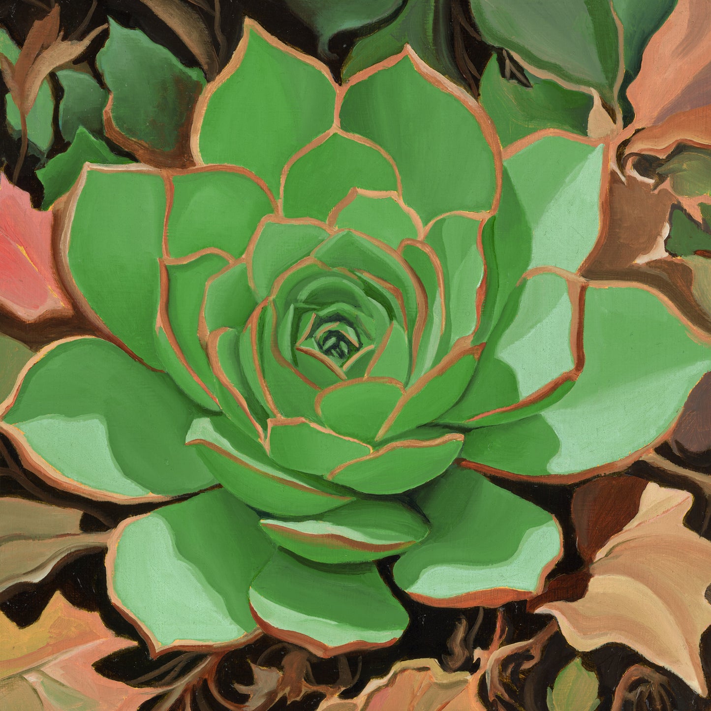Succulent with Leaves