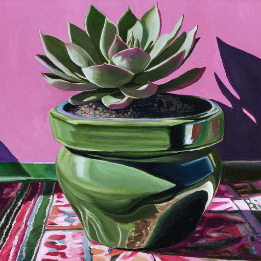 Glazed Pot with Aeonium