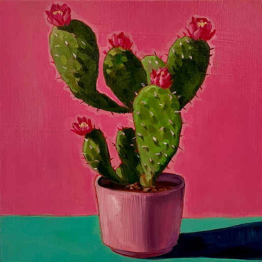 Opuntia in Pink