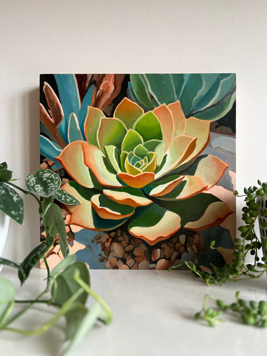 Succulent under Ashes