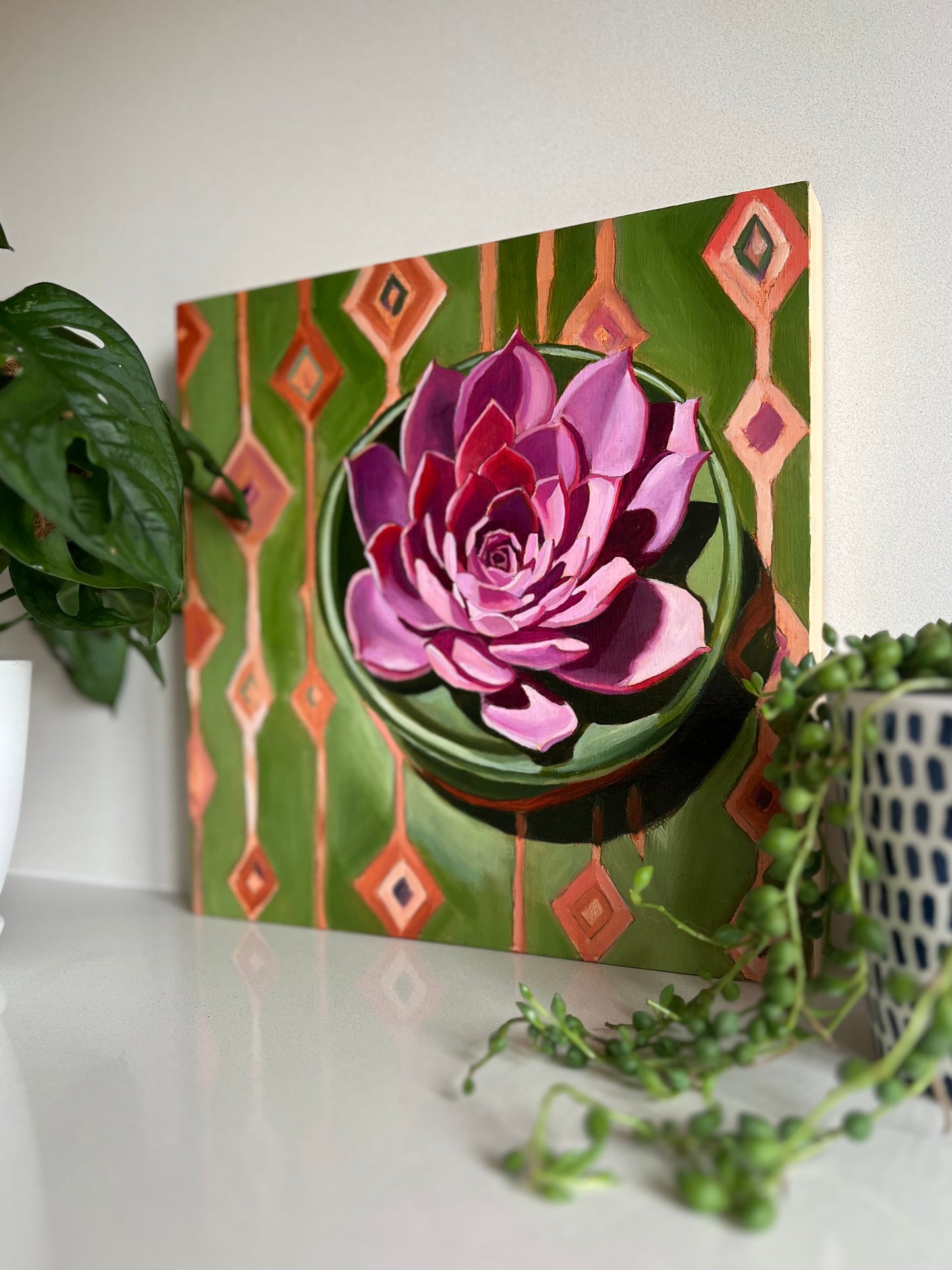 Echeveria in Pink & Green