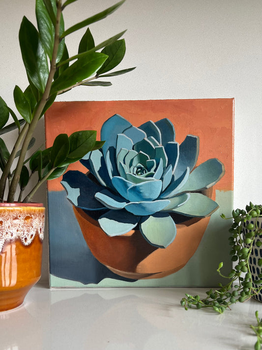 Terracotta Blue