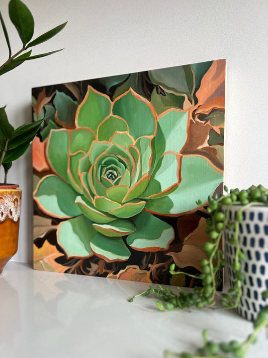 Succulent with Leaves