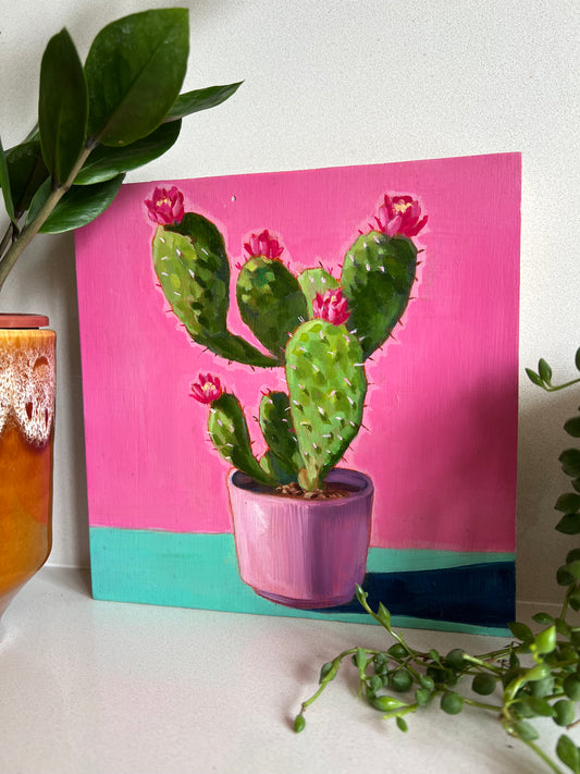 Opuntia in Pink