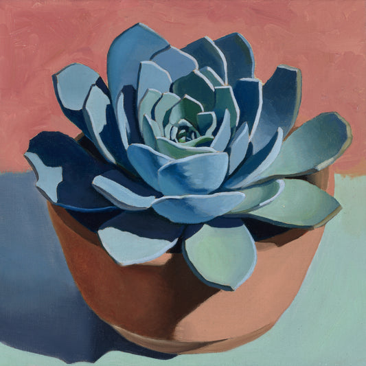 Terracotta Blue