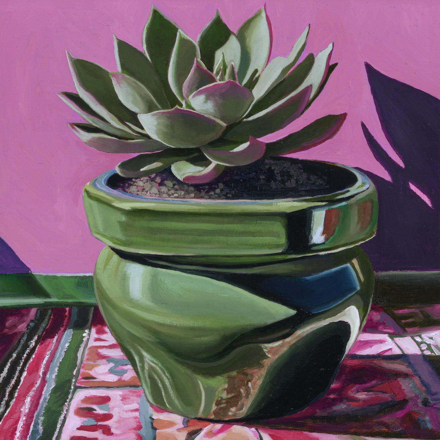 Echeveria in glazed pot