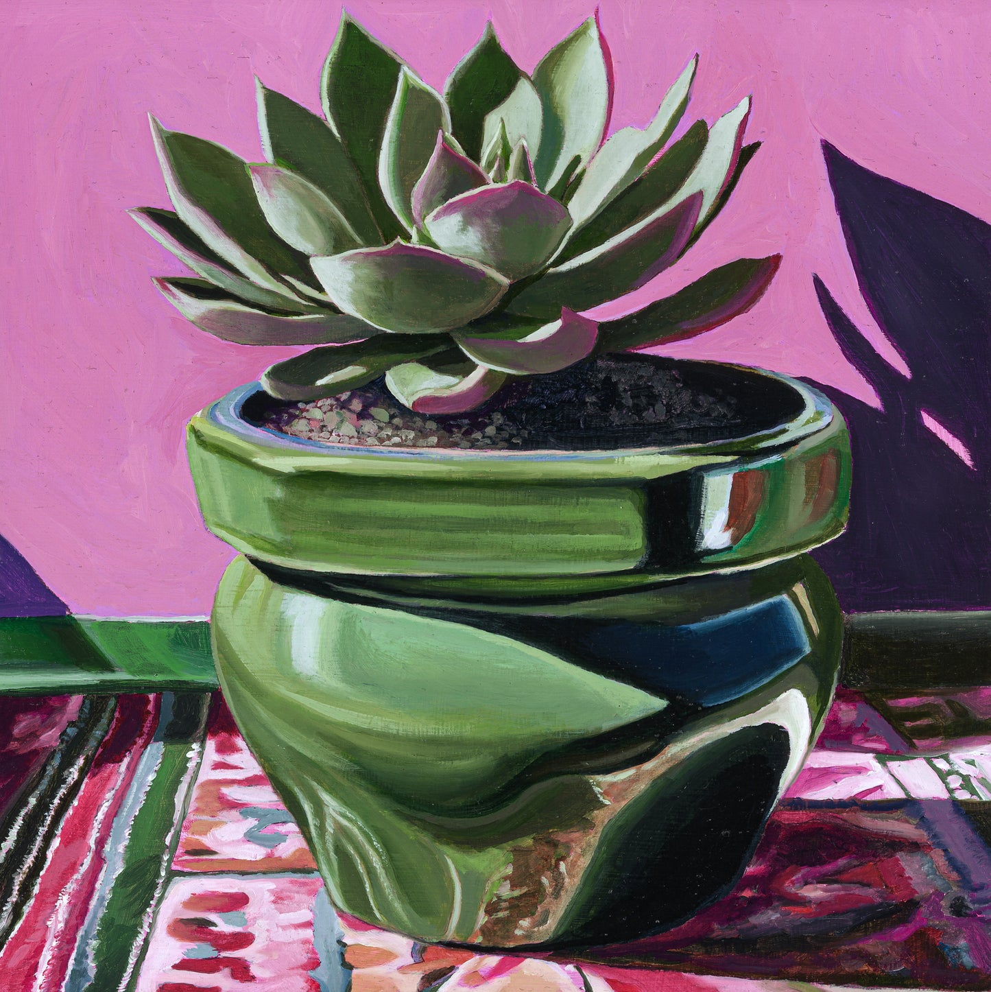 Glazed Pot with Aeonium