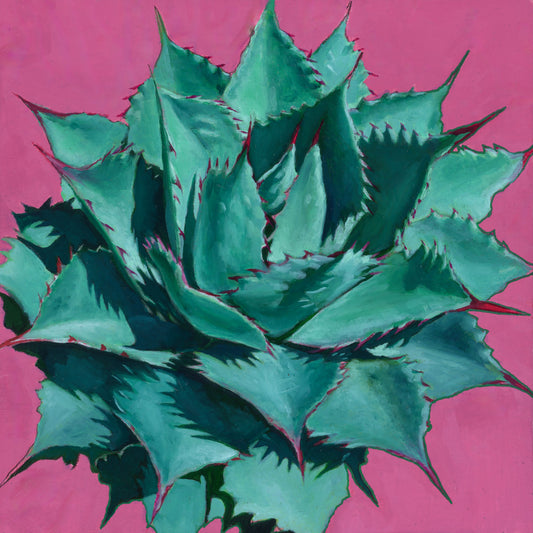 Agave truncata
