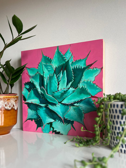Agave truncata