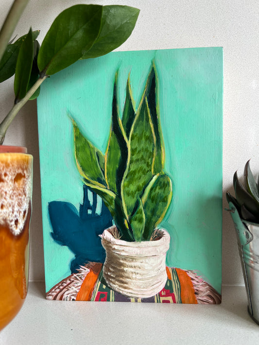 Snake plant